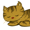 Kitten (for Peek)